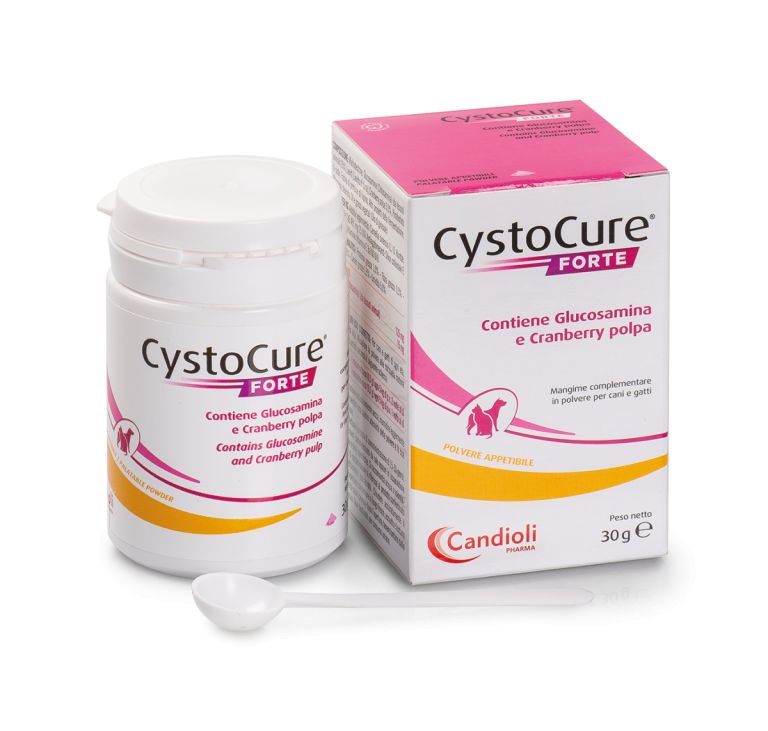 CYSTOCURE FORTE 30 g